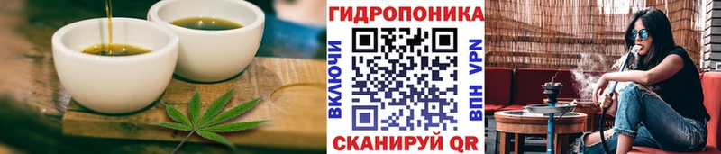 купить  цена  MEGA ссылки  Cannafood марихуана  Салехард 