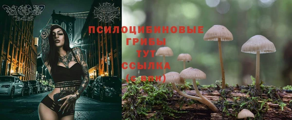 прущая мука Яровое