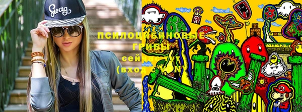 скорость Новодвинск