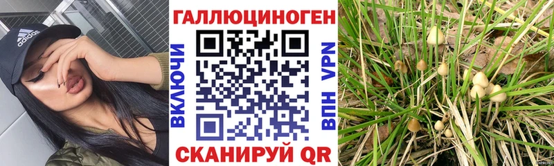 shop наркотические препараты  Салехард  Галлюциногенные грибы ЛСД  цена  